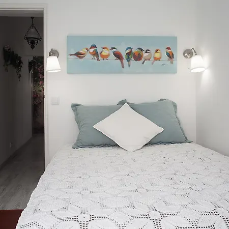 Apartment The Garden - Charming 1 Bedroom In Graca Lisbon